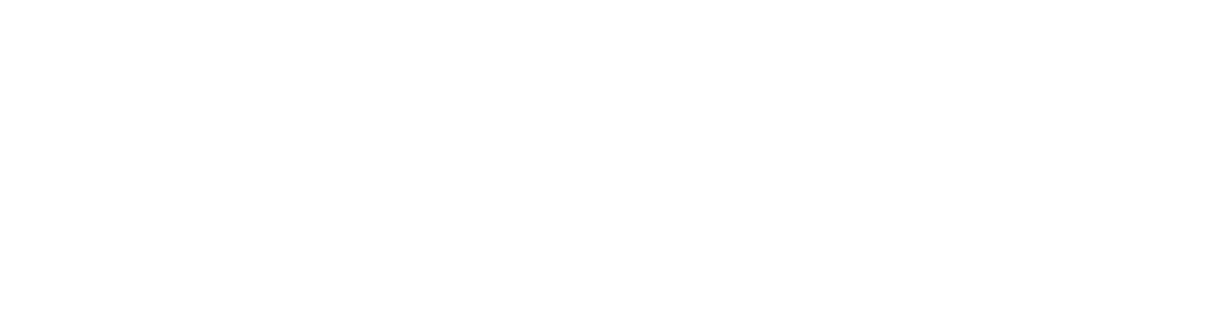 NautilusTrader Primary logo