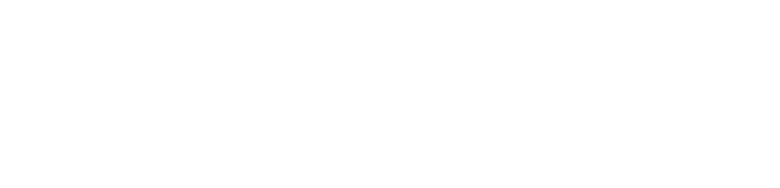 Envio logo